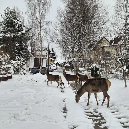 Wokol Stolu Zakopane