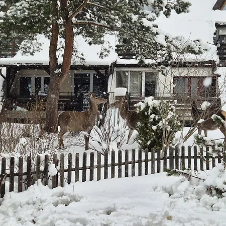 Wokół Stołu *